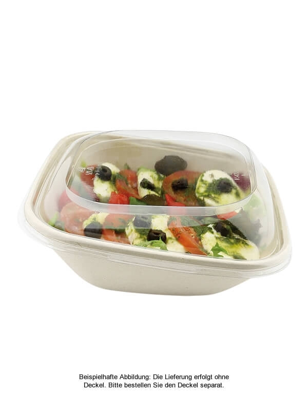 Schale "BePulp", quadratisch, schräg, 900ml