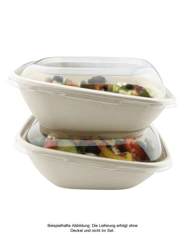 Schale "BePulp", quadratisch, schräg, 900ml