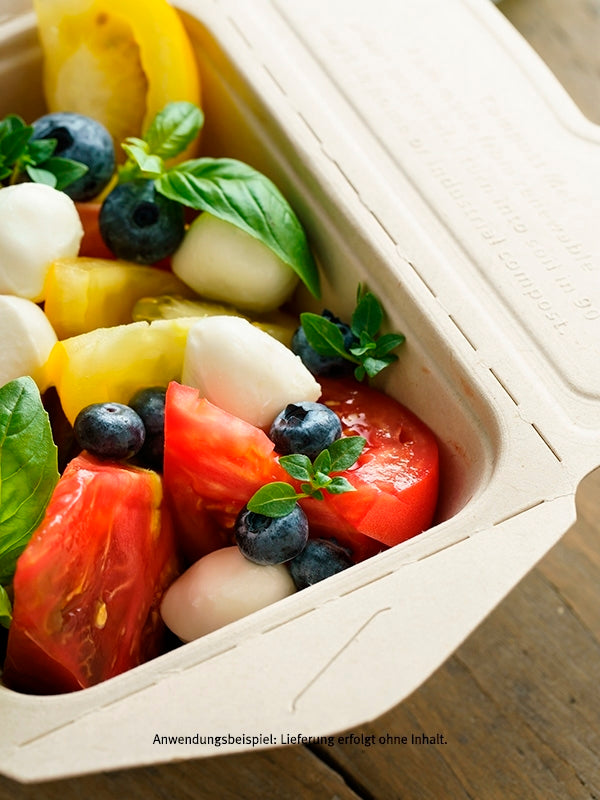 Bio Take-away Box, rechteckig, 750ml