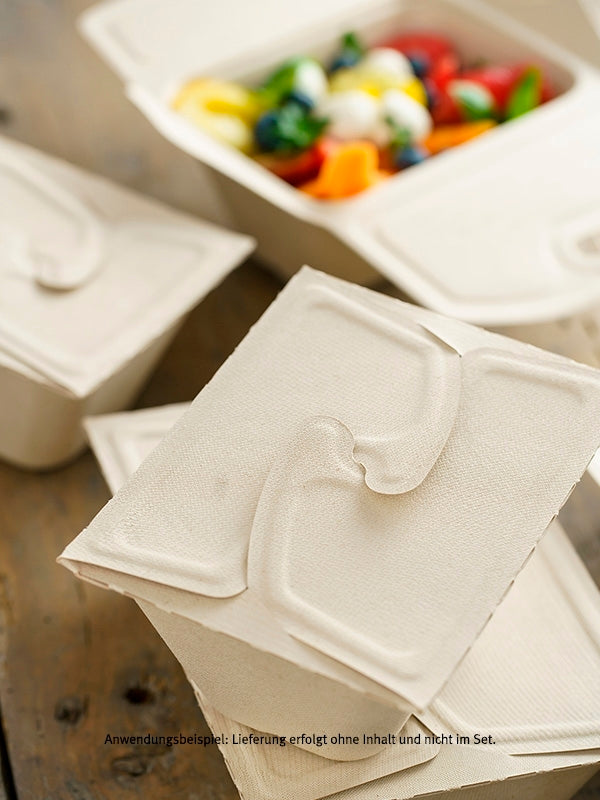 Bio Take-away Box, 2-geteilt, 500/300ml