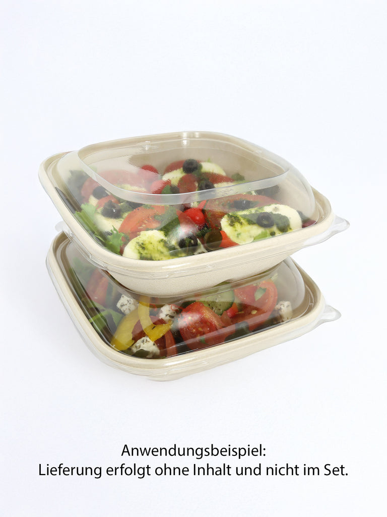 Schale "BePulp", quadratisch, schräg, 900ml