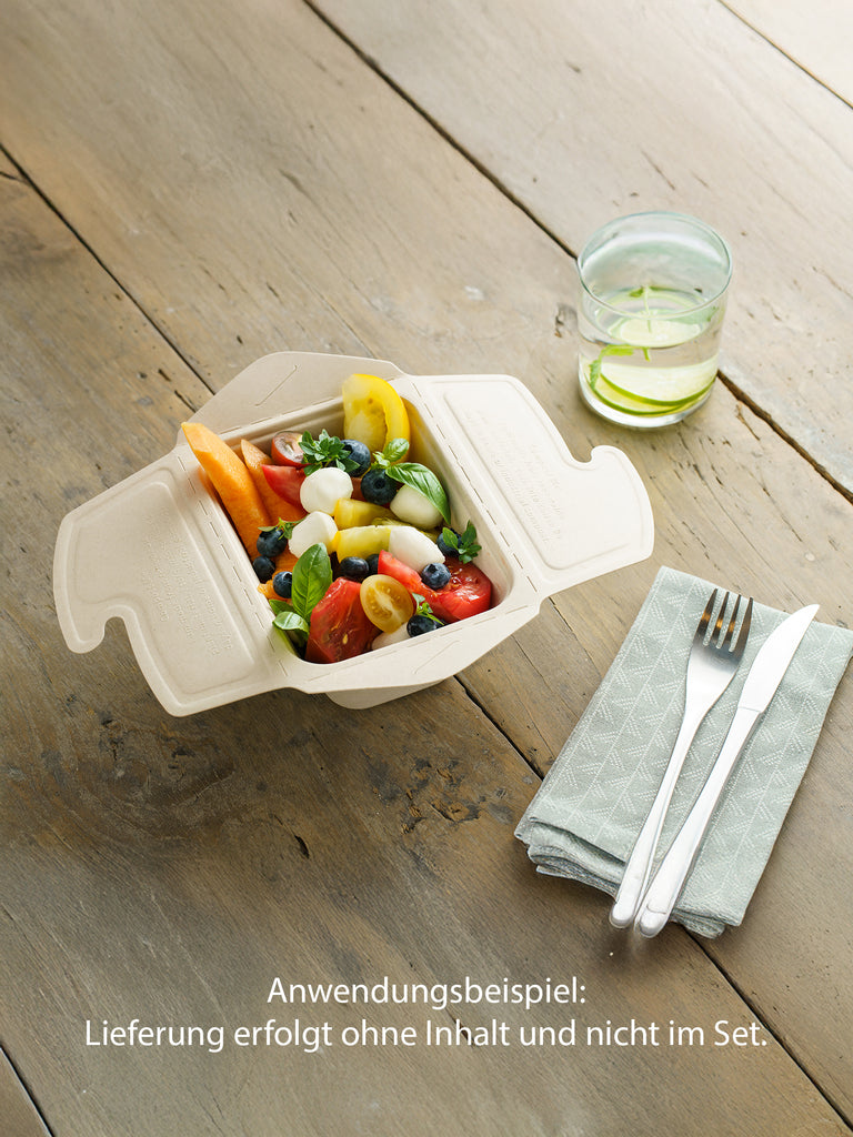 Bio Take-away Box, rechteckig, 750ml