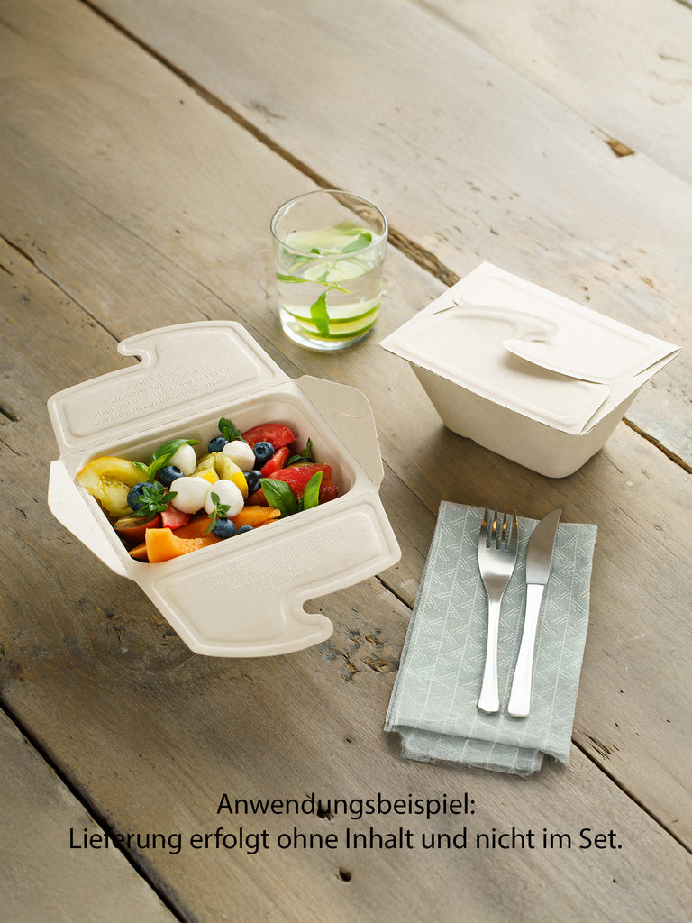 Bio Take-away Box, rechteckig, 750ml