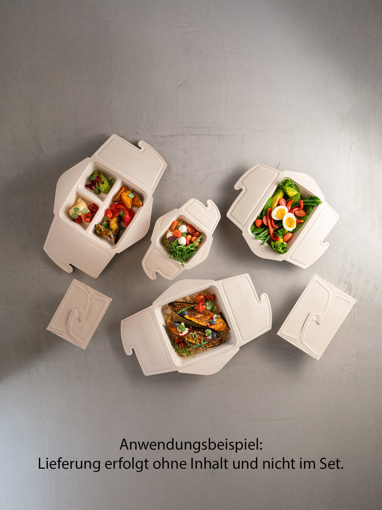 Bio Take-away Box, rechteckig, 750ml