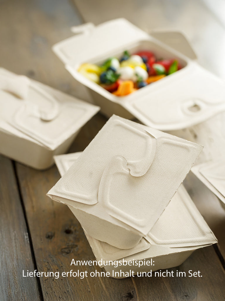 Bio Take-away Box, 2-geteilt, 500/300ml